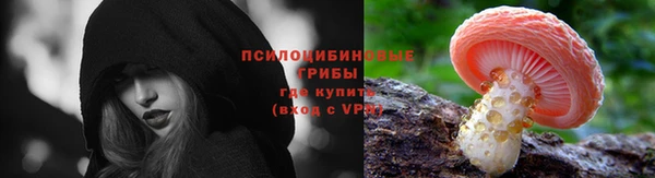 не бодяженный Абаза
