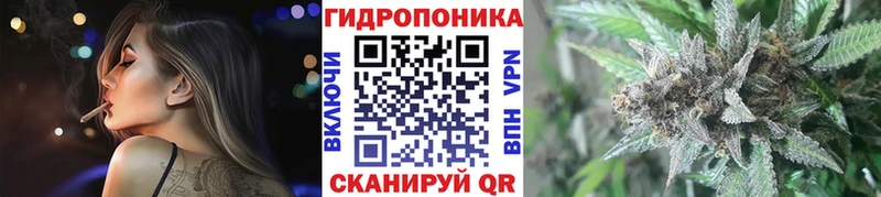 где купить   Нижневартовск  Марихуана OG Kush 